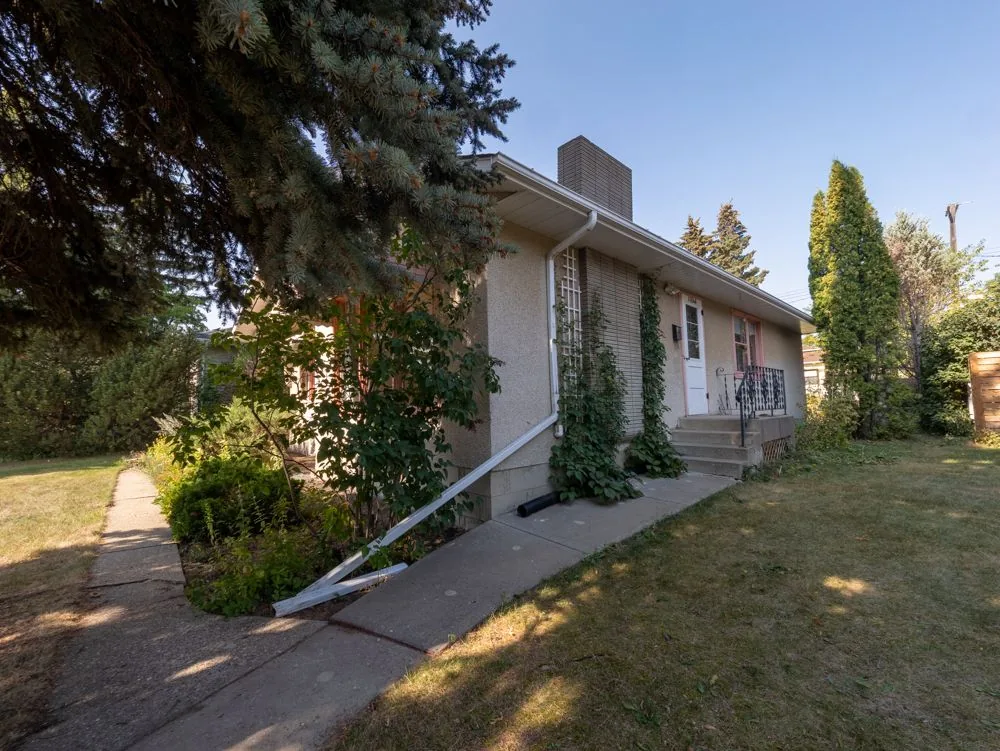 Before renovation, front-corner view showing chimney, ivy trellis and front door