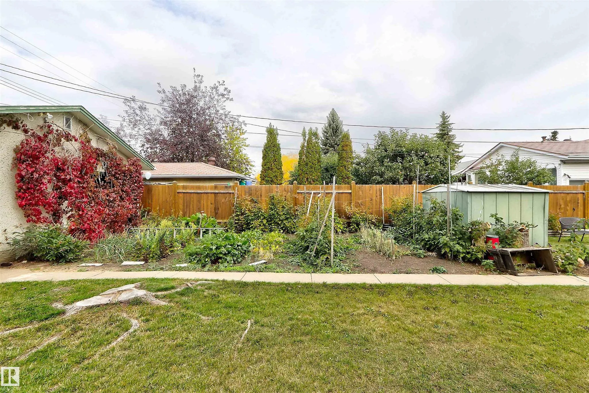 Before renovation, backyard from behind the vegetable garden showing raspberry canes, tomato stakes, and the neighboring garage rooflines behind the fence.