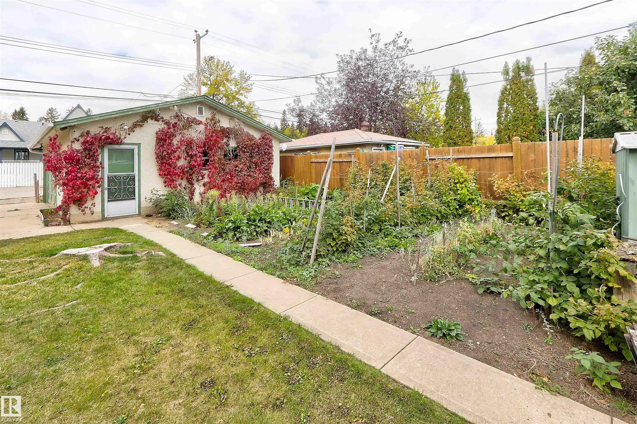 Before renovation, side view of the detached garage's man door with red-creeper-covered stucco walls and the vegetable garden along the fence.