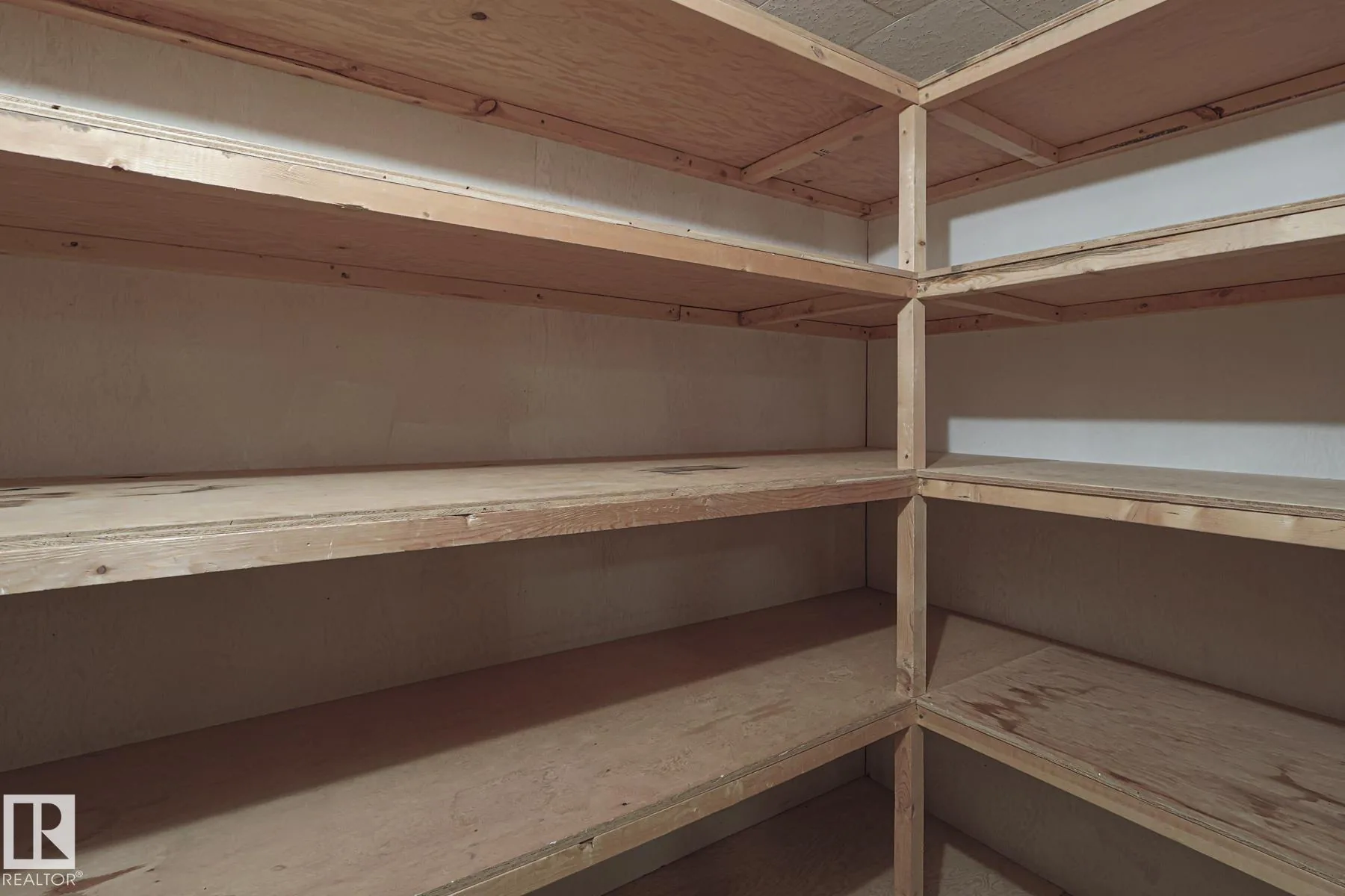 Before renovation, a basement storage closet with plain plywood shelves built into the corner.